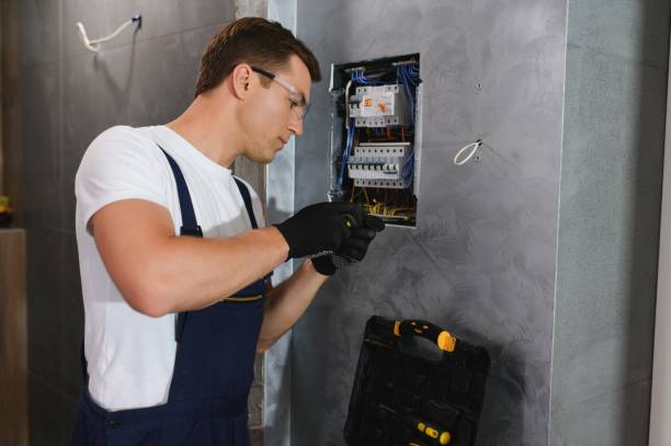 Best Electric Panel Repair  in Elmer, NJ